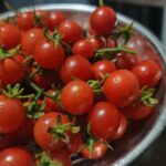 cherry tomato